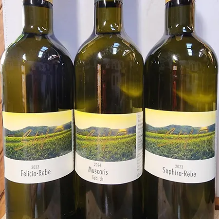 Ferienweingut Schaefer * Niedersteinbach