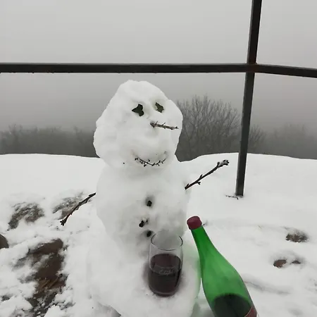 Ferienweingut Schaefer * Niedersteinbach